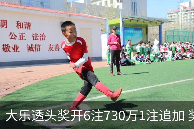 大乐透头奖开6注730万1注追加 奖池余额7.91亿